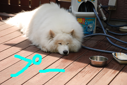 DSC_3587.jpg