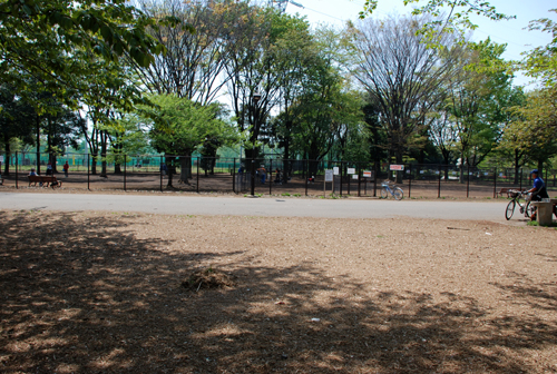 DSC_3559.jpg
