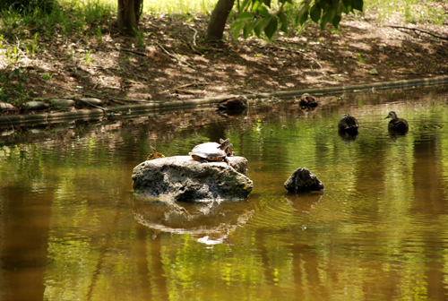 DSC_3570.jpg