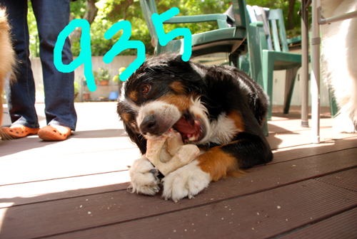 DSC_3598.jpg