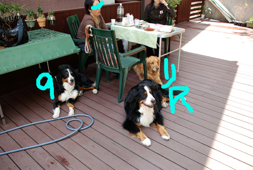 DSC_3604.jpg