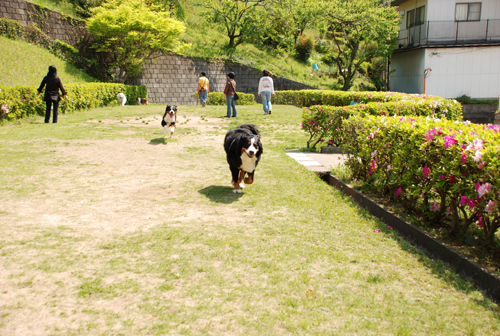DSC_3614.jpg