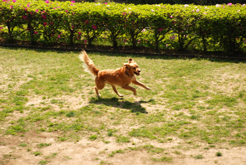 DSC_3624.jpg