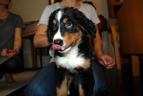 DSC_2136.jpg