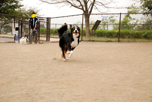 DSC_2498.jpg