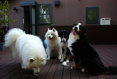 DSC_2635.jpg