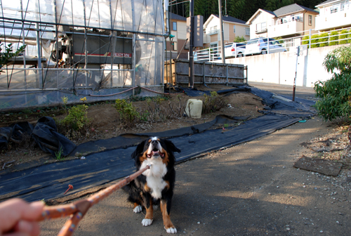 DSC_2694.jpg