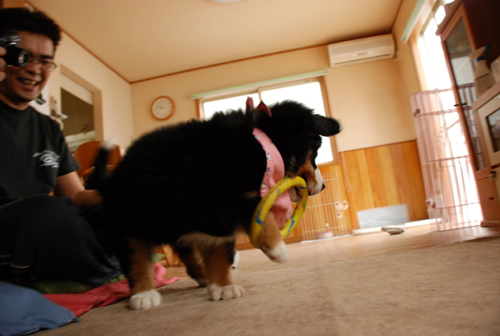 引っかかっちゃった