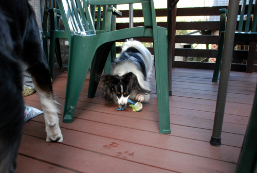 DSC_2654.jpg