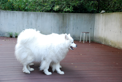 DSC_2659.jpg