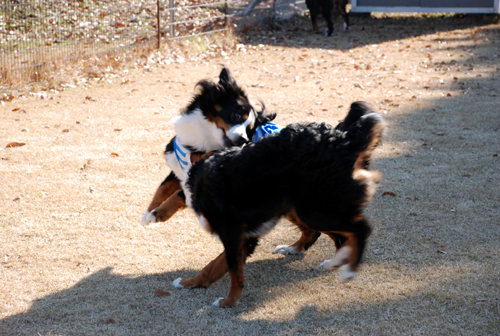DSC_2830.jpg