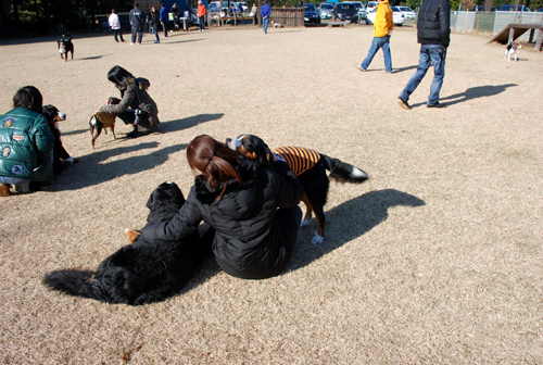 DSC_2841.jpg