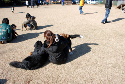 DSC_2842.jpg