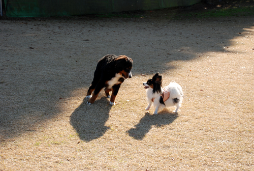 DSC_2868.jpg