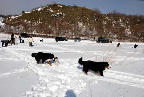 DSC_2901.jpg