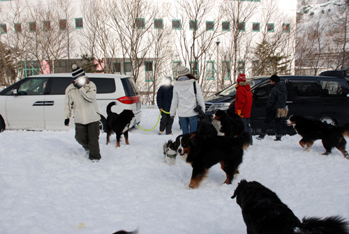 DSC_2939.jpg