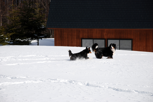 DSC_3020.jpg