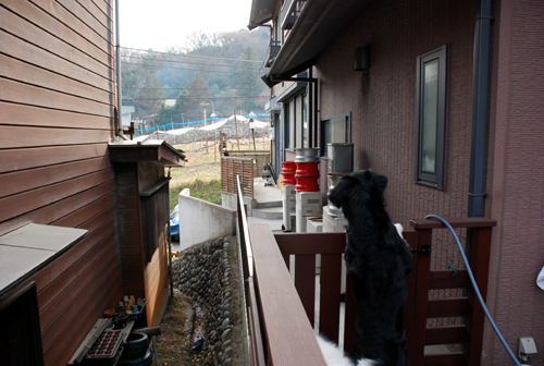 DSC_3081.jpg
