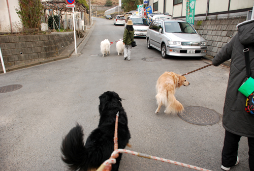 DSC_3107.jpg