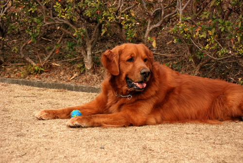 DSC_3128.jpg