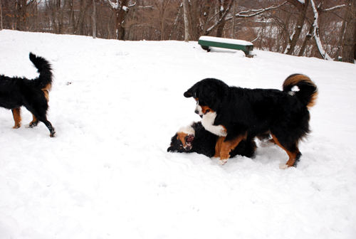 DSC_3289.jpg