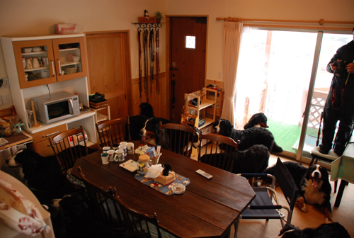 DSC_3335.jpg