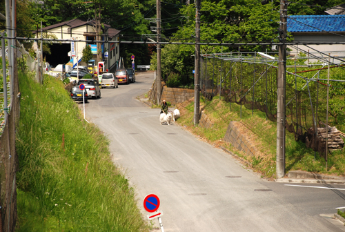 DSC_3650.jpg