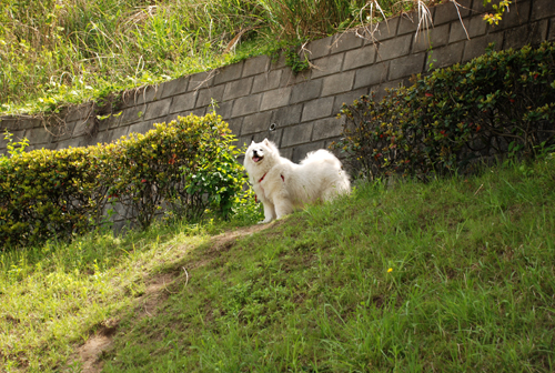 DSC_3666.jpg