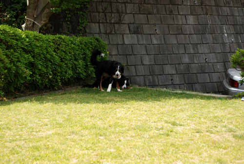 DSC_3667.jpg