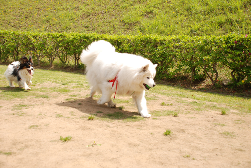 DSC_3683.jpg