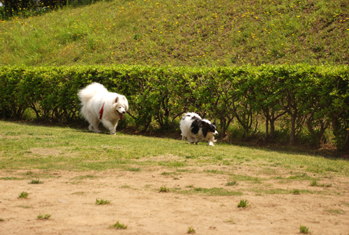 DSC_3693.jpg