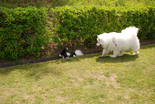 DSC_3695.jpg