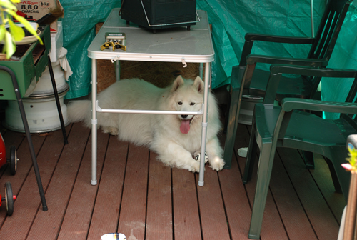 DSC_3709.jpg